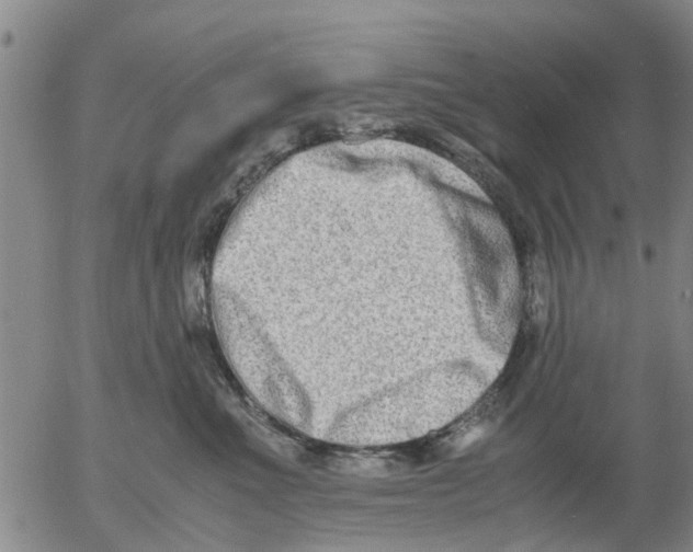 X0000053070523200508011943