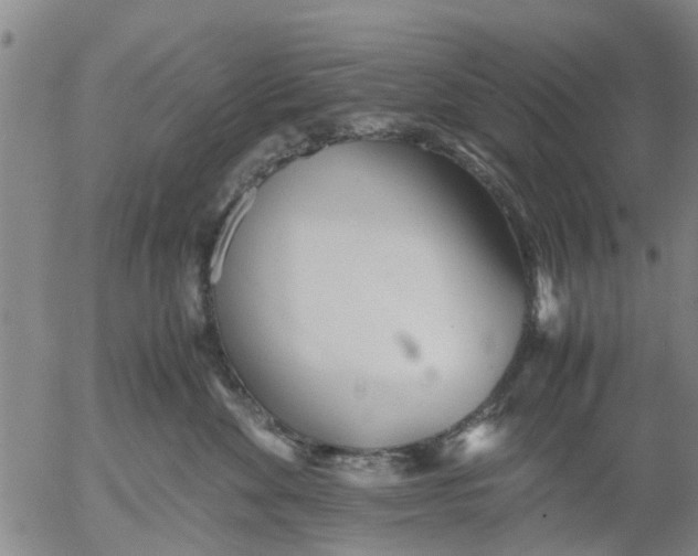 X0000053070524200508011943