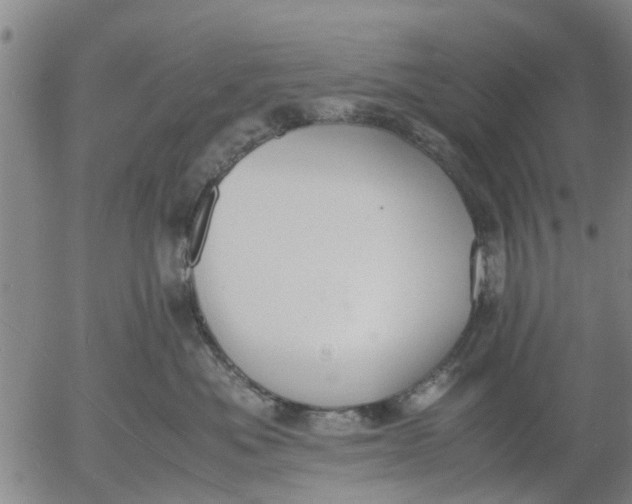 X0000053070525200508011943