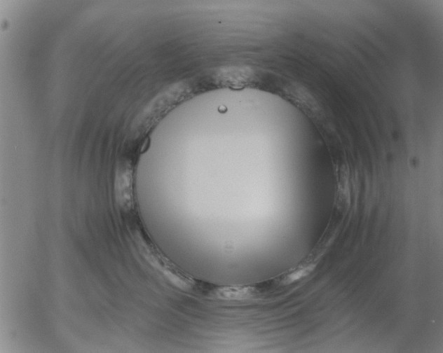 X0000053070526200508011943