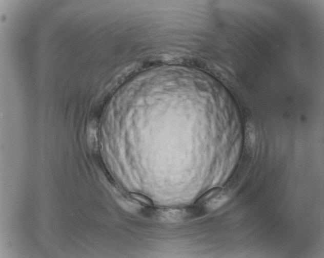 X0000053070527200508011943