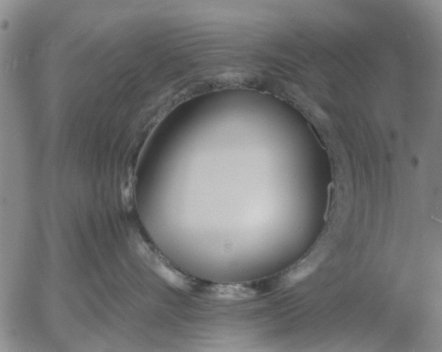 X0000053070528200508011943