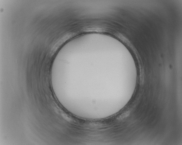 X0000053070529200508011942