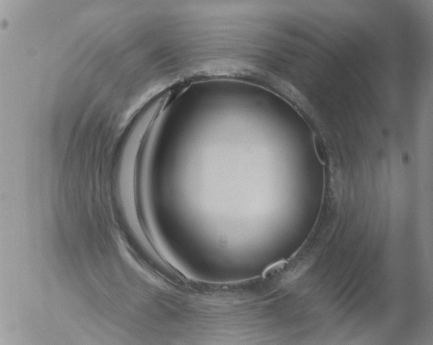 X0000053070530200508011942