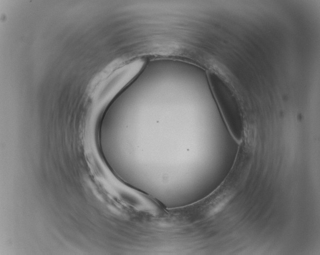 X0000053070532200508011942