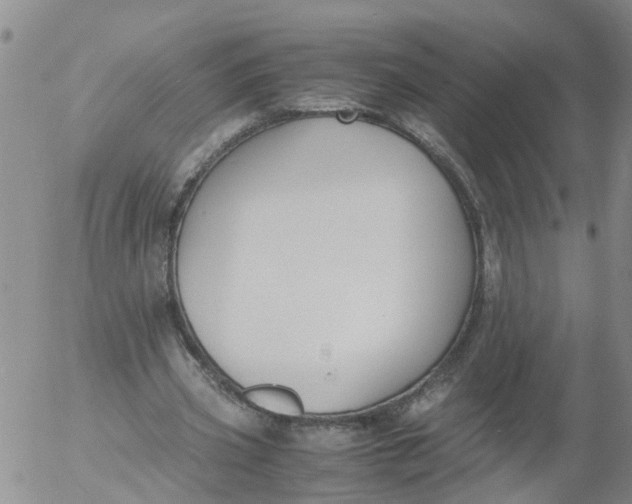 X0000053070533200508011942