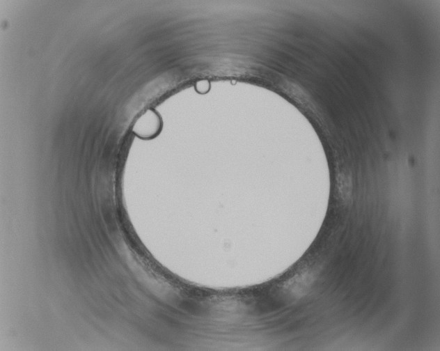 X0000053070534200508011942