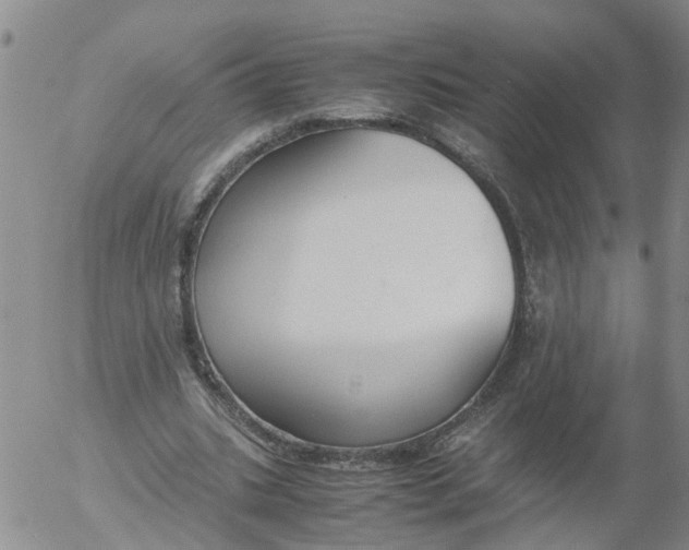 X0000053070535200508011942