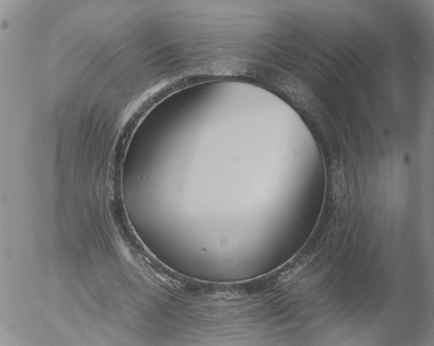 X0000053070536200508011942