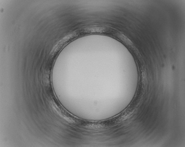 X0000053070537200508011942