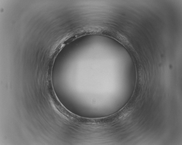 X0000053070538200508011942