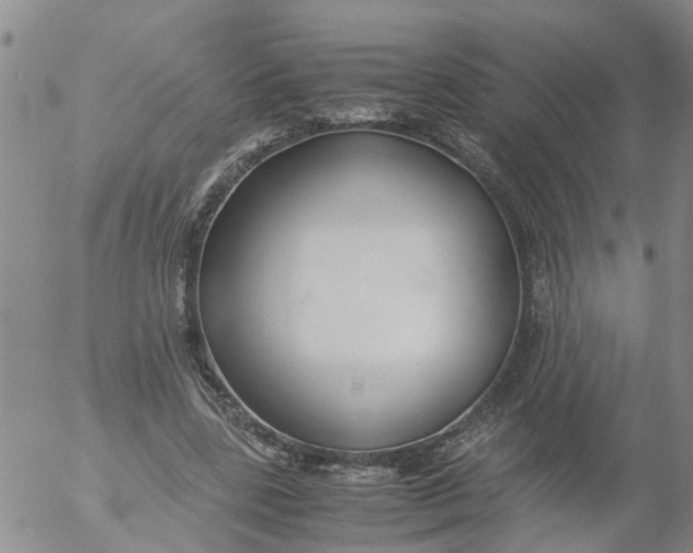 X0000053070539200508011942