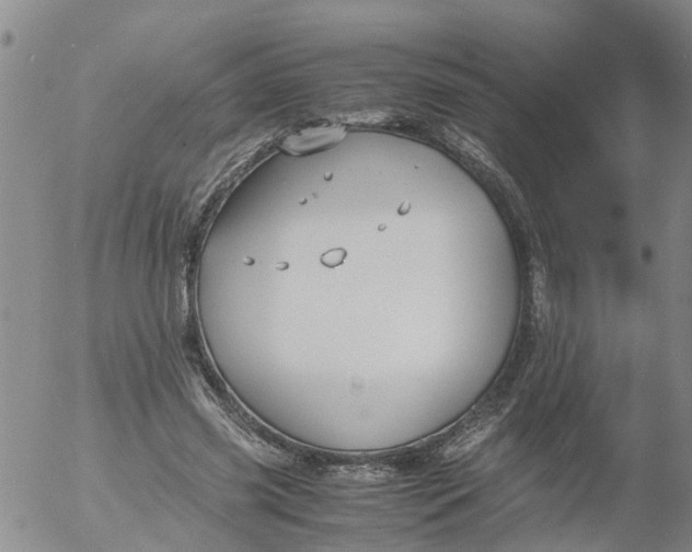 X0000053070541200508011942