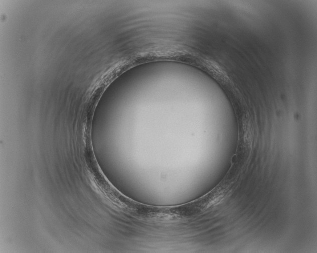 X0000053070542200508011943