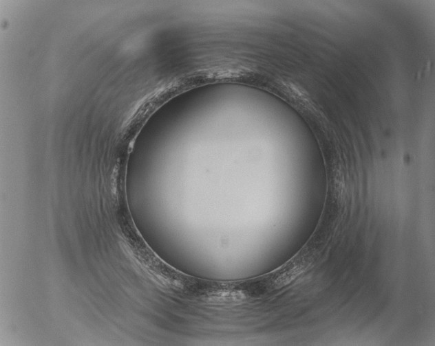 X0000053070543200508011943