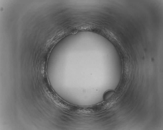 X0000053070545200508011943