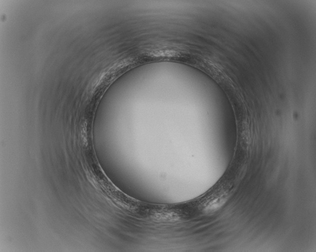 X0000053070547200508011943