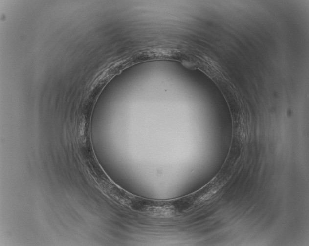 X0000053070548200508011943