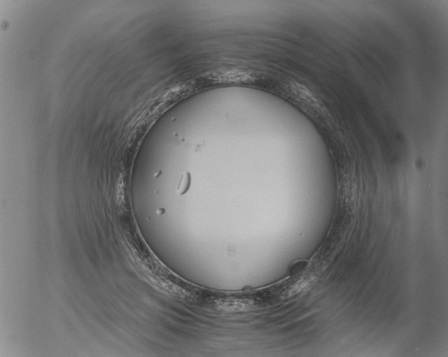 X0000053070549200508011943