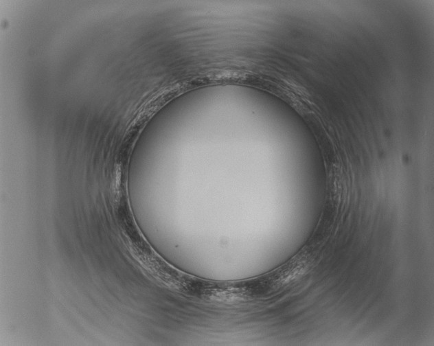 X0000053070550200508011943