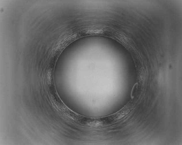 X0000053070551200508011943