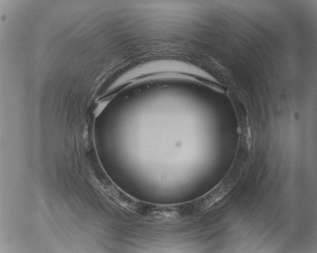 X0000053070552200508011943