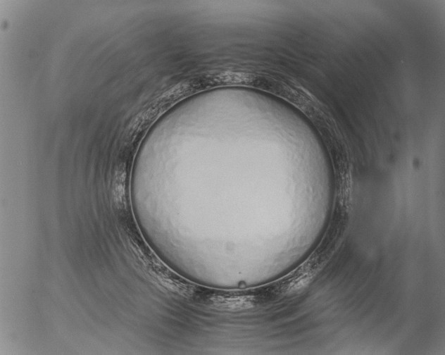 X0000053070553200508011943