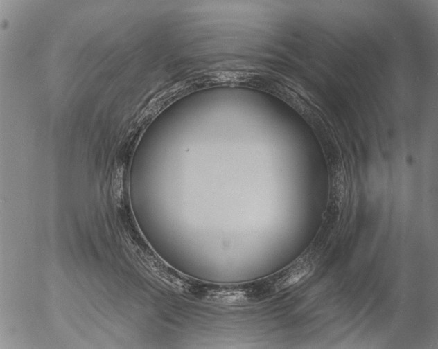 X0000053070554200508011943