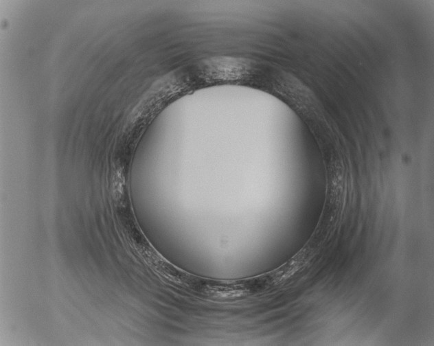 X0000053070555200508011943