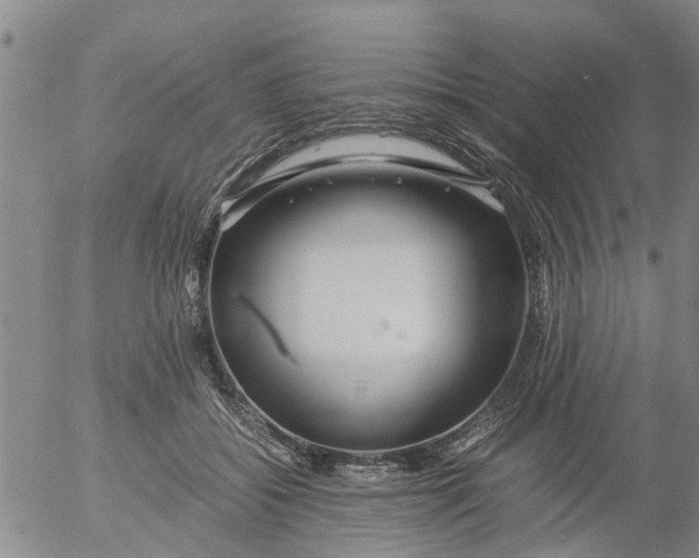 X0000053070556200508011943