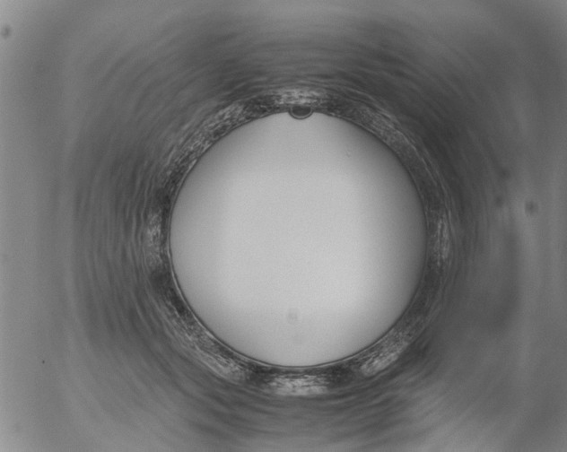 X0000053070557200508011943