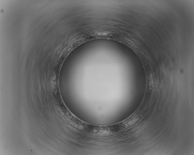 X0000053070559200508011943