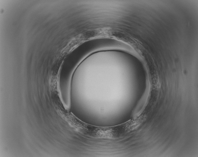 X0000053070560200508011943