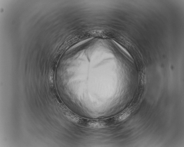 X0000053070561200508011943