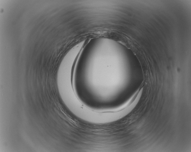 X0000053070562200508011943