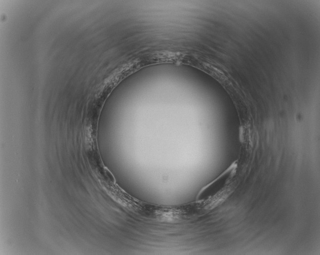 X0000053070564200508011943