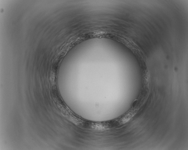 X0000053070565200508011943