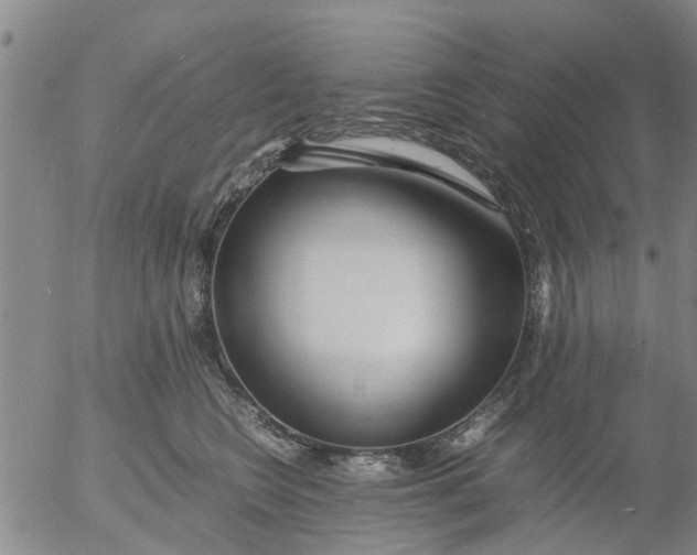 X0000053070566200508011943