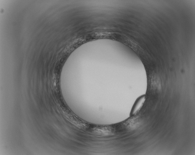 X0000053070567200508011943