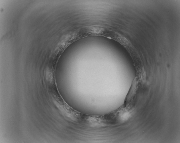 X0000053070568200508011943