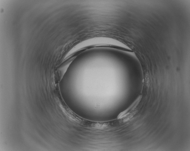 X0000053070570200508011943