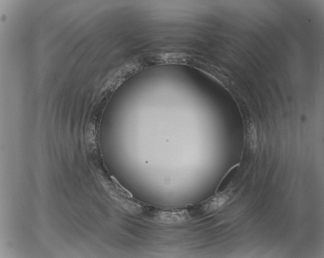 X0000053070571200508011943