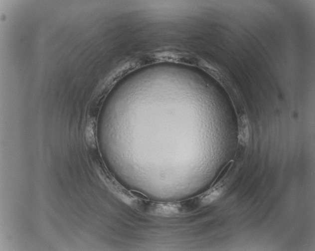 X0000053070573200508011943