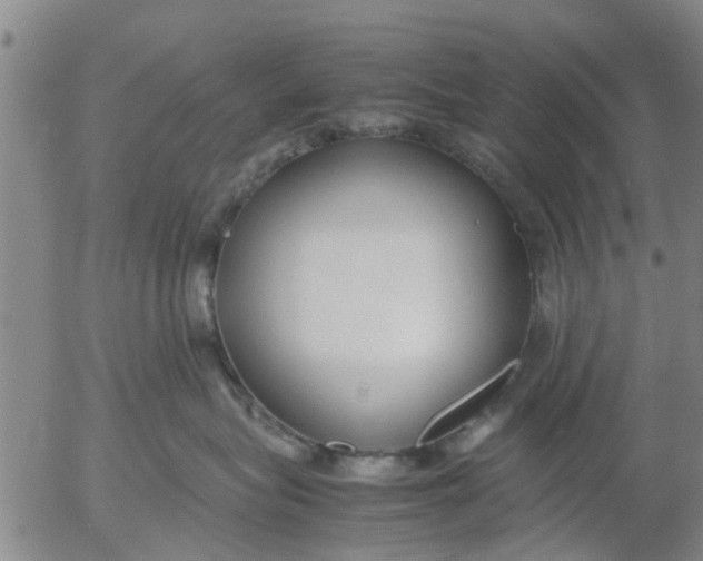 X0000053070575200508011943