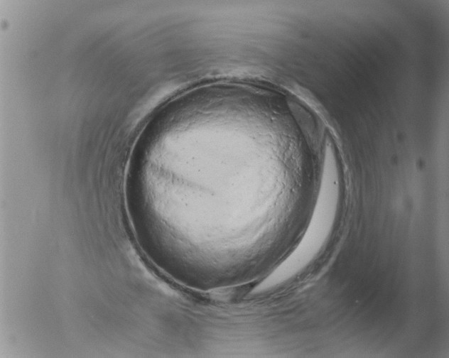 X0000053070577200508011942