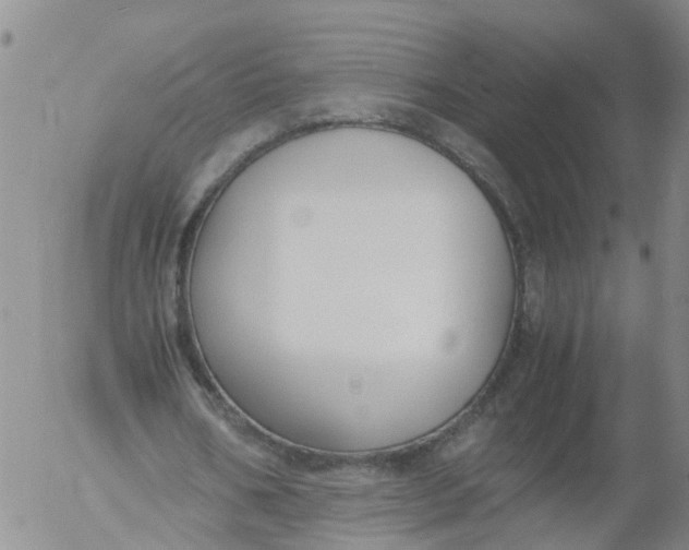 X0000053070578200508011942