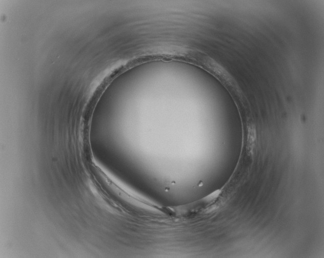 X0000053070580200508011942