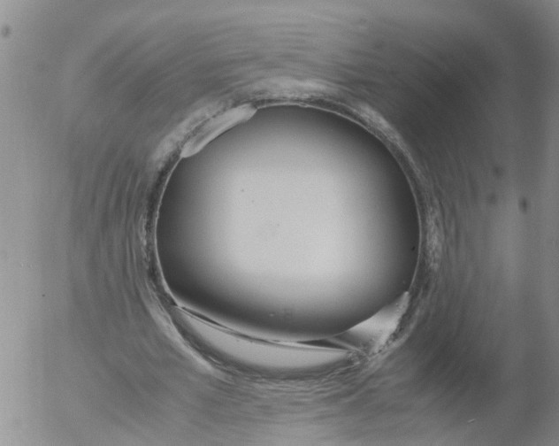 X0000053070581200508011942