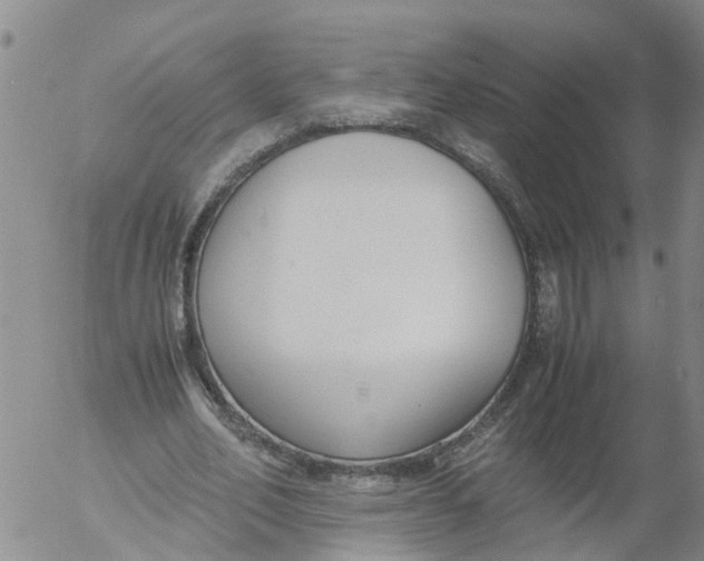 X0000053070582200508011942