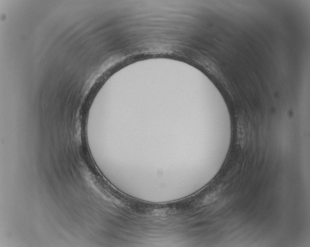 X0000053070584200508011942